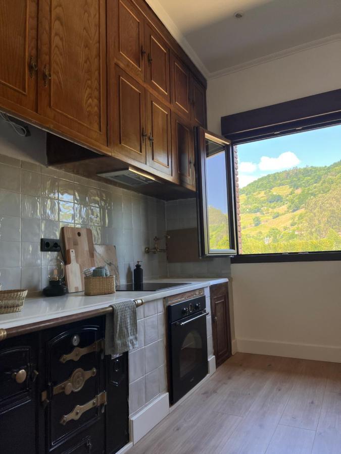 Mountain View Apartment Mieres  Ngoại thất bức ảnh