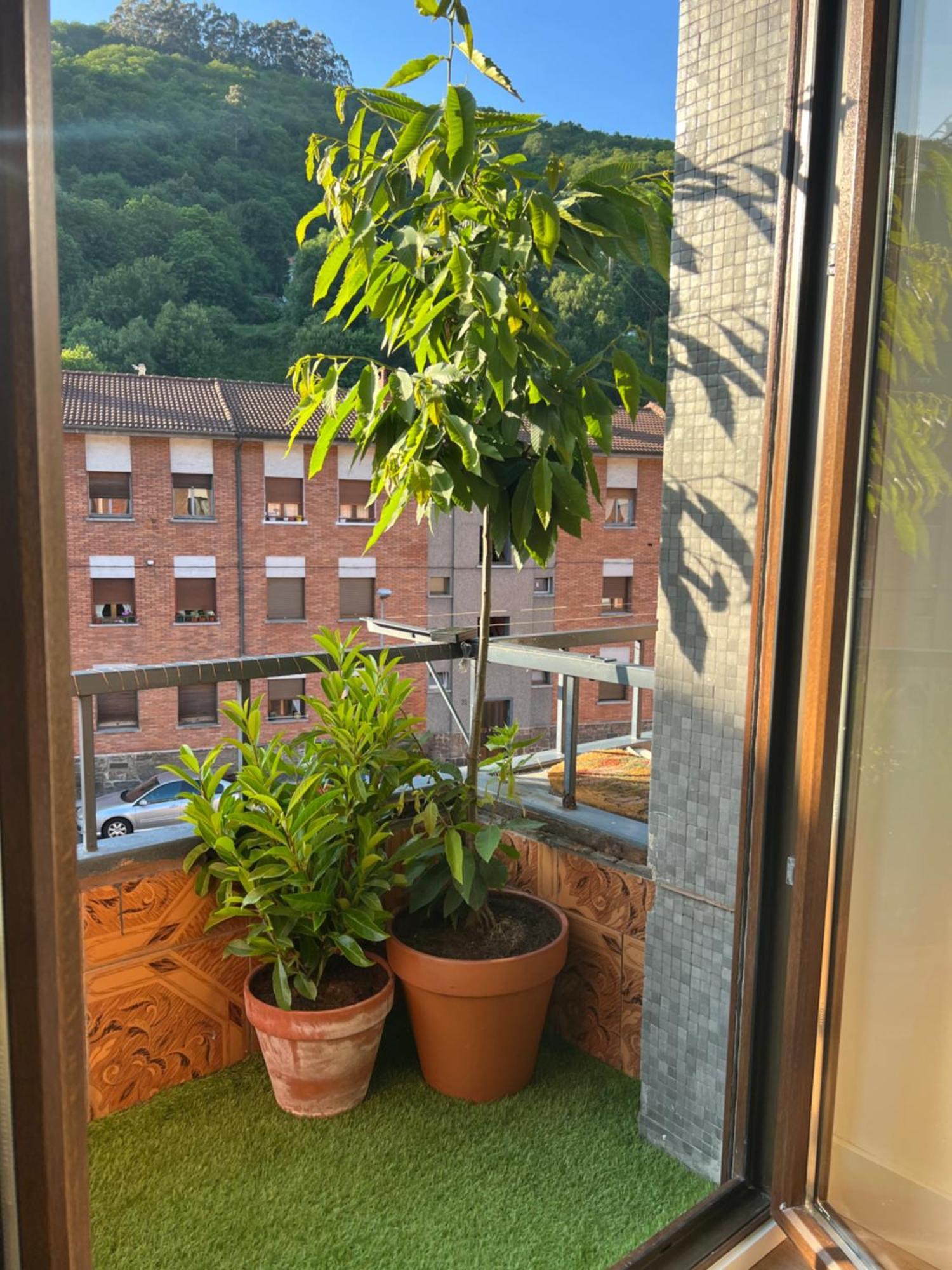 Mountain View Apartment Mieres  Ngoại thất bức ảnh